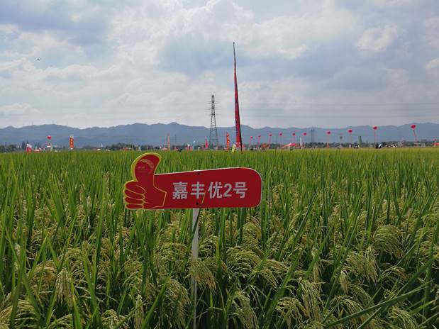 说明: C:\Users\201823\AppData\Local\Microsoft\Windows\INetCache\Content.Word\IMG_0976.jpg