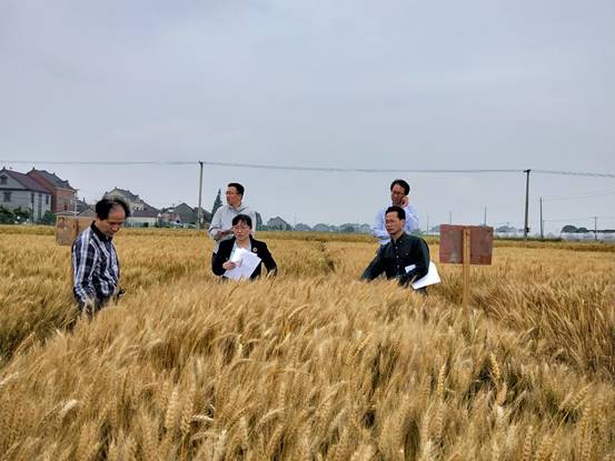 说明: IMG20190513162553
