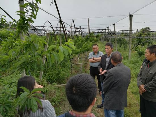 说明: 微信图片_20190523091034