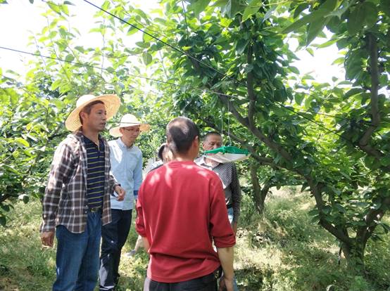 说明: 微信图片_20190523092123