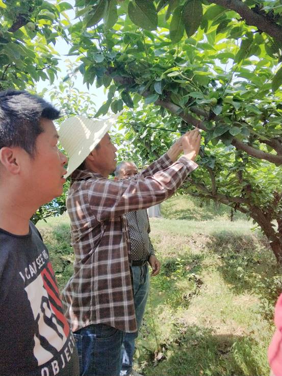 说明: 微信图片_20190523092115