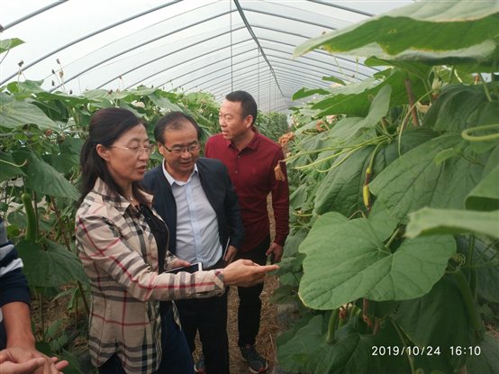 微信图片_20191025143251.jpg