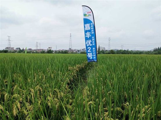 c3fd4ef071bae466365bcd2509de93c c3fd4ef071bae466365bcd2509de93c