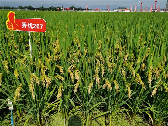 b14c3fe3caf8c779ad7a2de2e3829ca