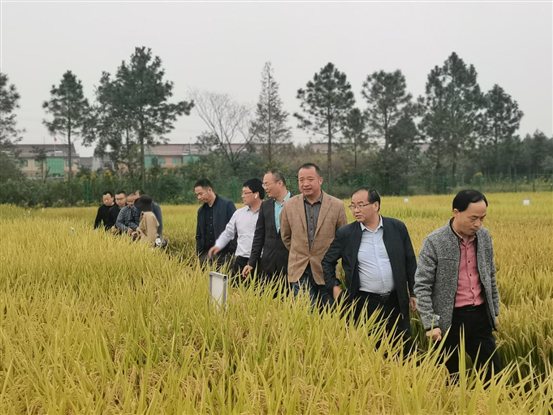 微信图片_20211020211832 微信图片_20211020211832
