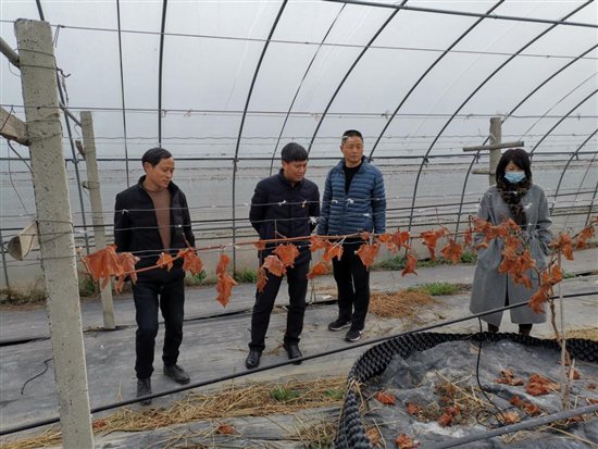 微信图片_20210129152533