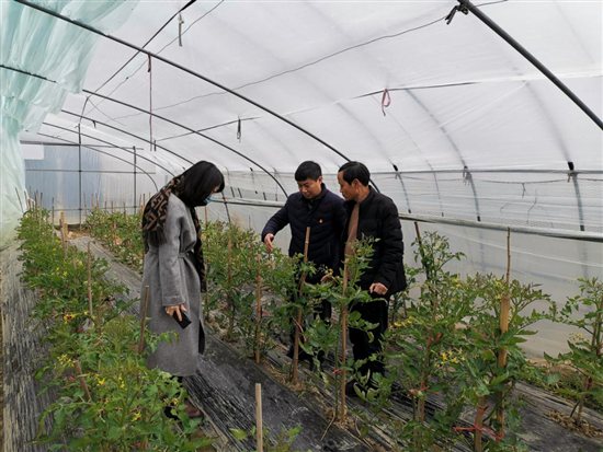 微信图片_20210129152540