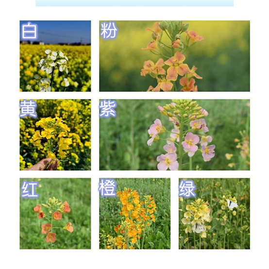 C:UsersADMINI~1AppDataLocalTempWeChat Filescdec52aef1cb4d7b3ca6ff9ce719.jpg C:UsersADMINI~1AppDataLocalTempWeChat Filescdec52aef1cb4d7b3ca6ff9ce719.jpg