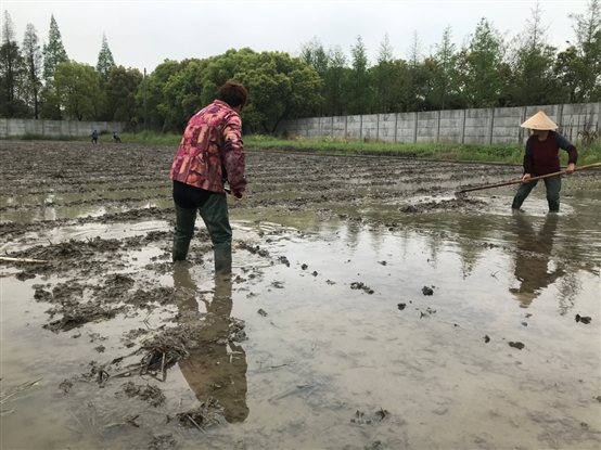 C:UsersLenovoAppDataLocalTempWeChat Filesa0cfe7ab75579393468db6c9b39d11.jpg