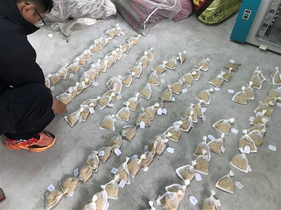 C:UsersLenovoAppDataLocalTempWeChat Filesvabe19aa97598dddb3578cea15f12.jpg