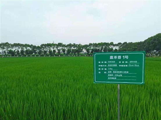 C:UsersADMINI~1AppDataLocalTempWeChat Files51163c79205b30d60135c341d44ec1.jpg