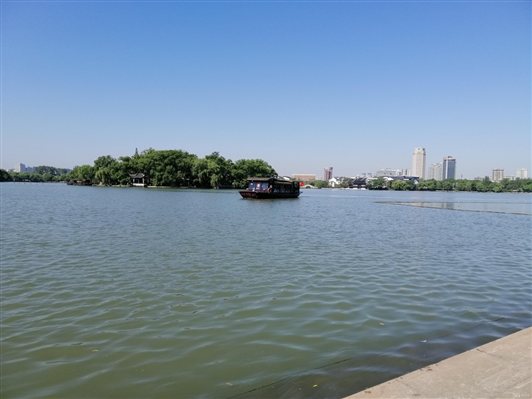 IMG_256 IMG_256