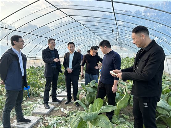 1c37ae54833b503720a65dbca1a6129