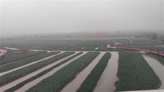 微信图片_20231218091852