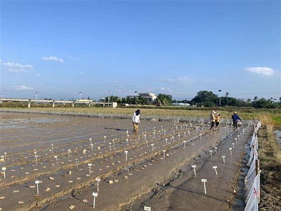 微信图片_20231201162958