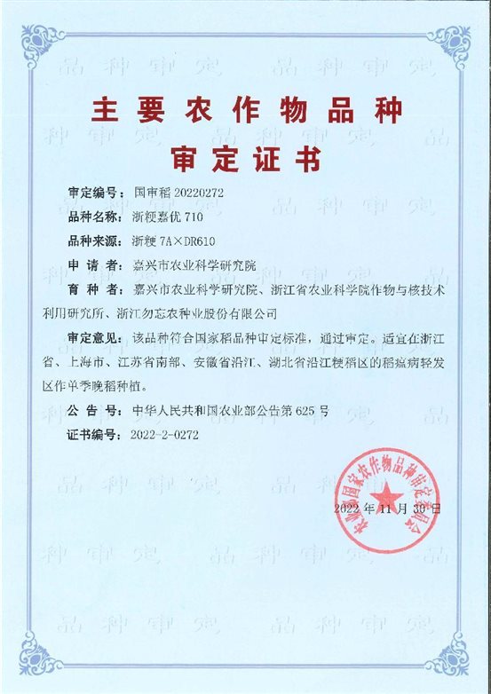 2022国审稻20220272-浙粳嘉优710 2022国审稻20220272-浙粳嘉优710