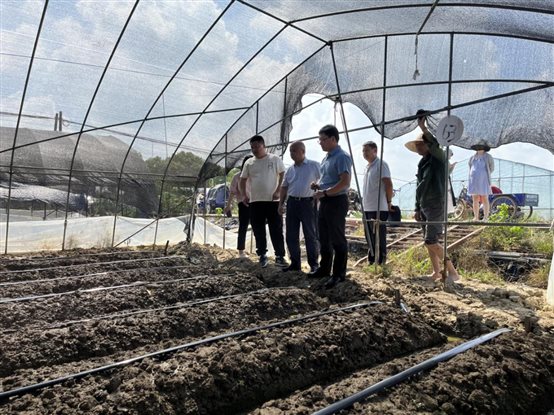 IMG_9714.HEIC IMG_9714.HEIC