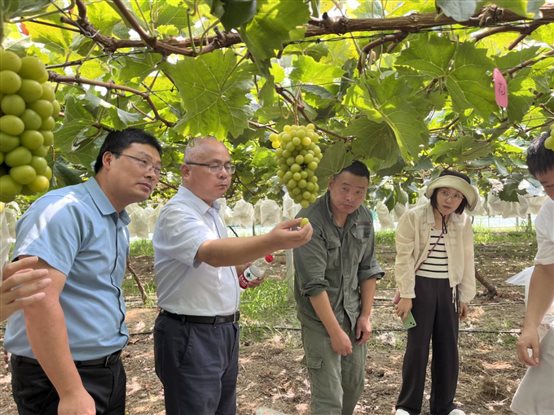 IMG_9722.HEIC IMG_9722.HEIC