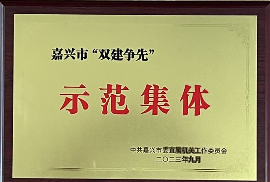 嘉兴市双创争先示范集体奖牌