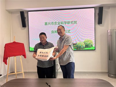 微信图片_20241013153553