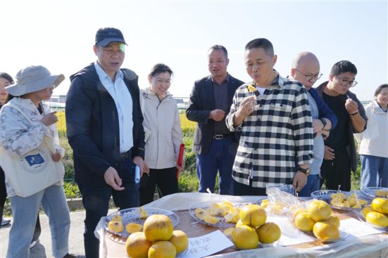 4d0a52198fb806008c26e718de274b71