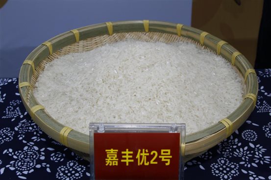嘉丰优2号米样