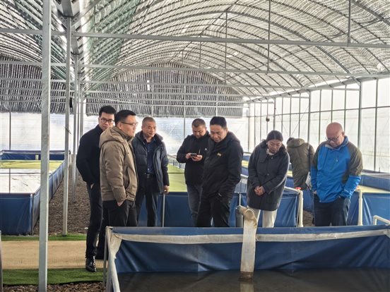 d4bf1bab1a04abae6e96142c9bf38c9