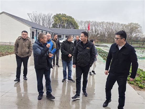 35eb06d136bade06b8c925ef5214750