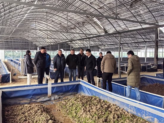 1e03efc6b01b1ec4d1c8e51c36576cc