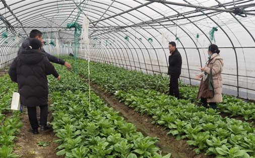 81b9084787dc26c6ce26f8675bcf728