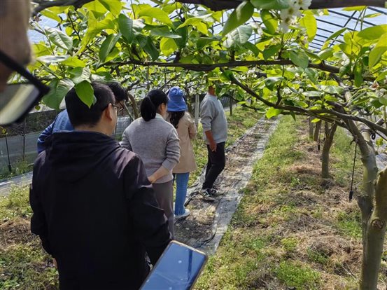 b6f86fab3c6c8ee7675ec14054ca3ef