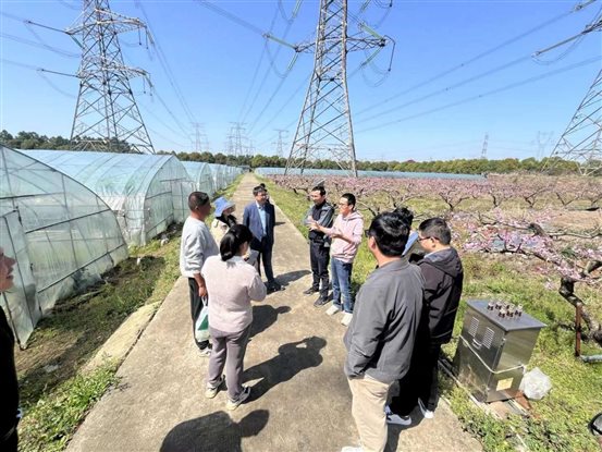 1a3117c10b97a81c2497669dd318621