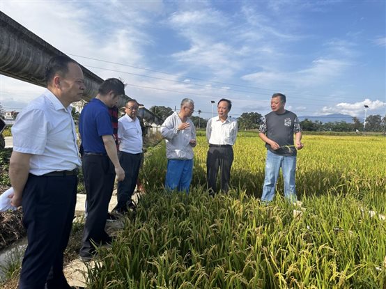 ba5521f749b4882ea44271c2fb86ba4