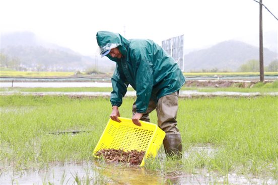 fc8332b13e338287dac46a678dfe6ec8