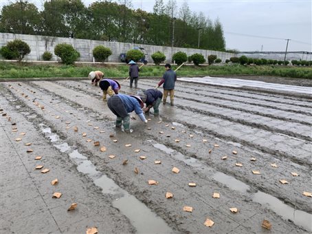 82ffc377758dafeabb81cb84544b66d