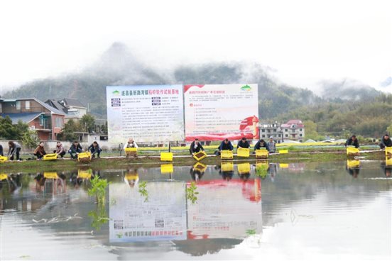 5a5536b880dc31d8388b9454e0768ffe