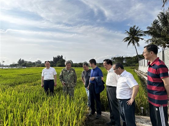 c64cab3d64c6fc828f18e77ae3693ab