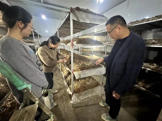 8199b337f1e1838d2f65419911ddab1