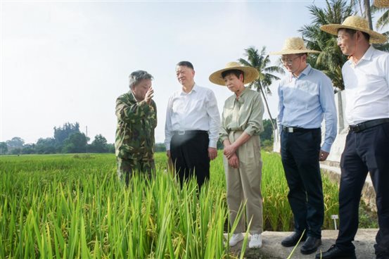 田间考察 田间考察