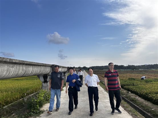 9f542287fb221fad3c2ff3ef7639de7