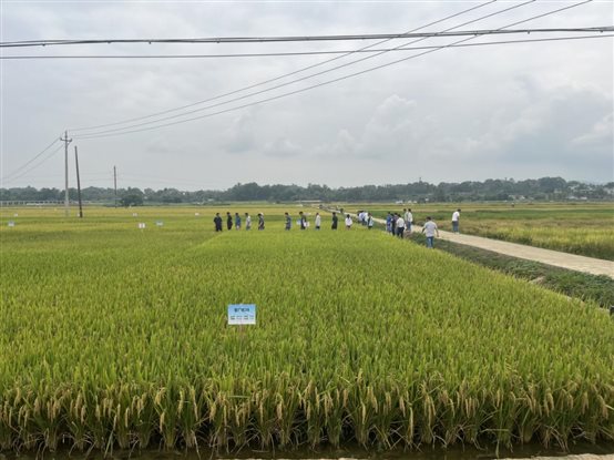 微信图片_20240410153745