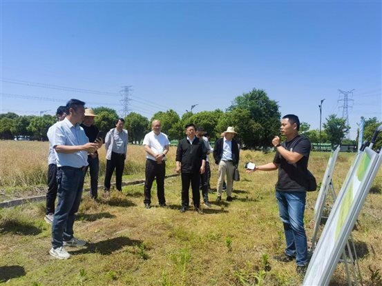 8e24e0cae01d83c1b8ab076ed518539