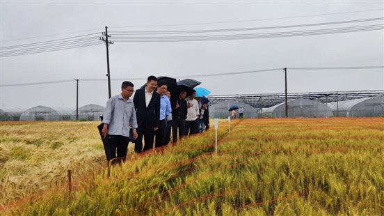 微信图片_20240511224034