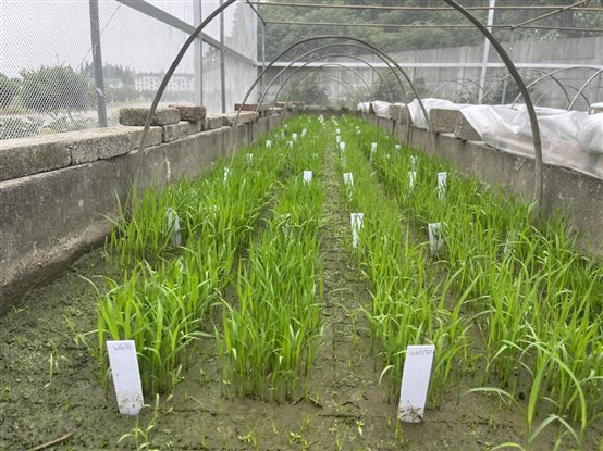 8765547348b3ad0804951008d677e72