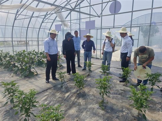 973c3bf75711466b8e0d11f056d3e8e