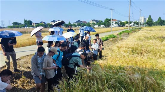 微信图片_20240518205622