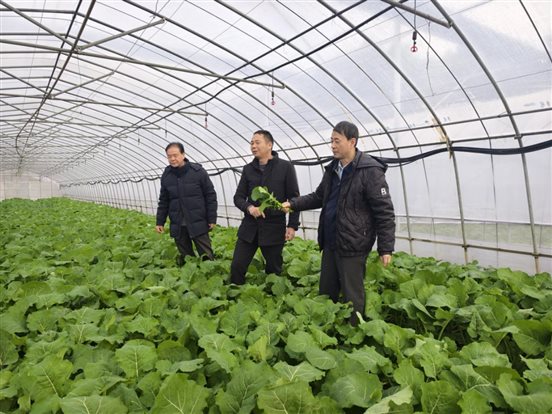 62a901b2d1001ba652dcc2e79d997b7 62a901b2d1001ba652dcc2e79d997b7