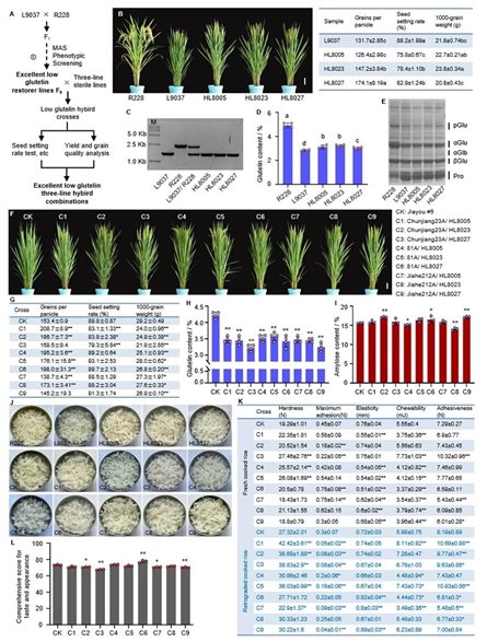 8f610b1ce3ce52eedc6bb1fae1e6d43c