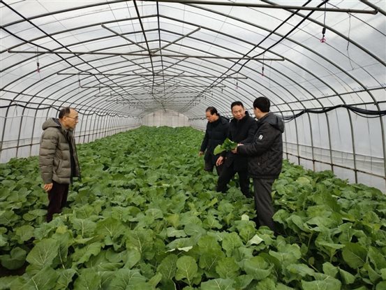 a715c03d9e5b0856650c2cc019d73a1 a715c03d9e5b0856650c2cc019d73a1