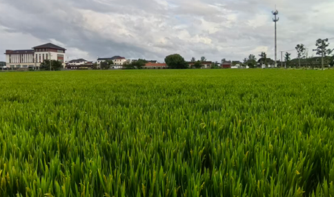 7eb6da20-2e7b-4a8d-965d-bd5a41ca8fb7